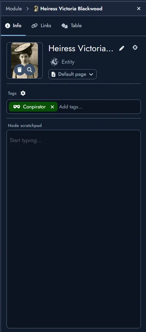 The Node Details Panel of the Editor